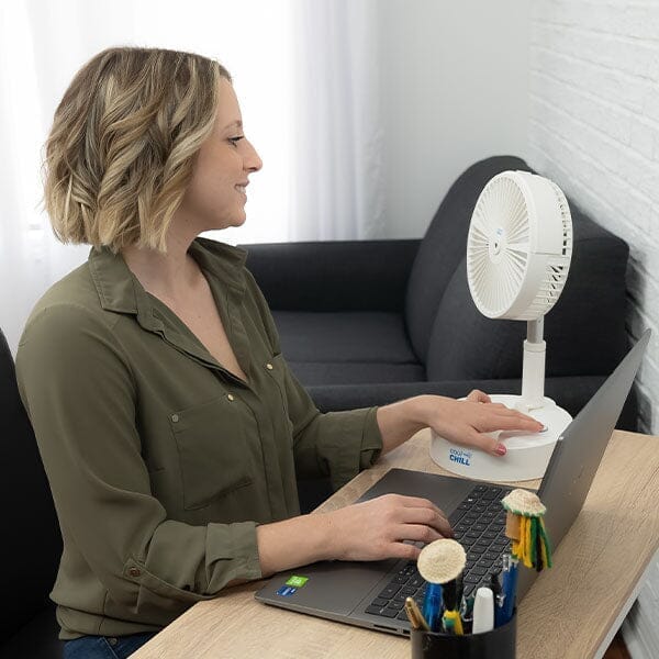Cool Chill Telescopic Rotating & Misting Fan - Image 5