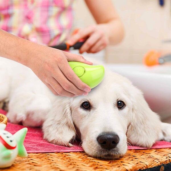 SteamyTails: Silicone Steam Grooming Brush For Cats & Dogs - Image 4