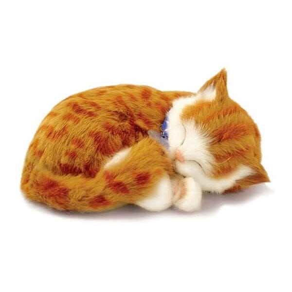 Sweet Petzzz: Realistic Dog & Cat Plush Dolls | Multiple Styles - Image 10